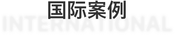 国际案例